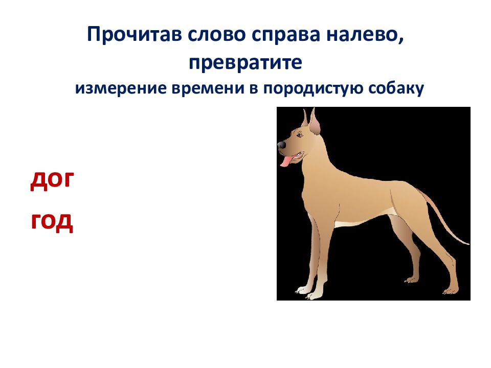 Текст справа налево. Прочитай слова справа налево. Анаграмма к слову собака. Рисунок собака справа налево 2 класс.