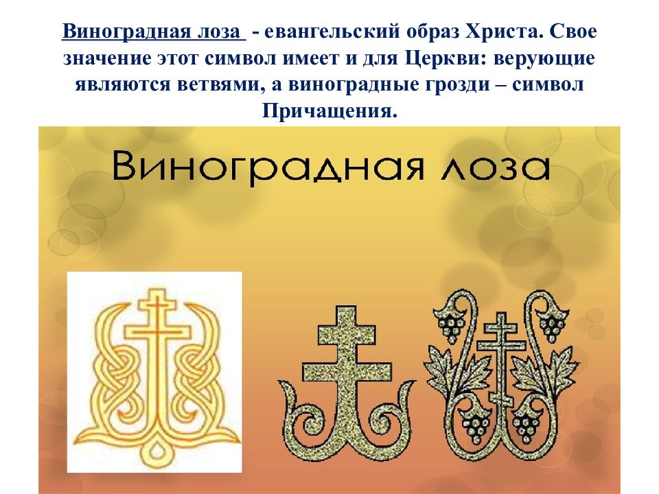 Главный символ. Виноградная лоза в христианстве. Христианские символы. Символы Православия. Символ веры христианства.