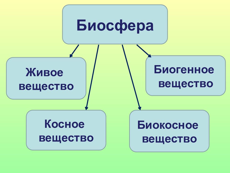 Вещества живой природы. Биосфера презентация. Биосфера определение. Живое косное биокосное биогенное вещество. Слайды про биосферу.