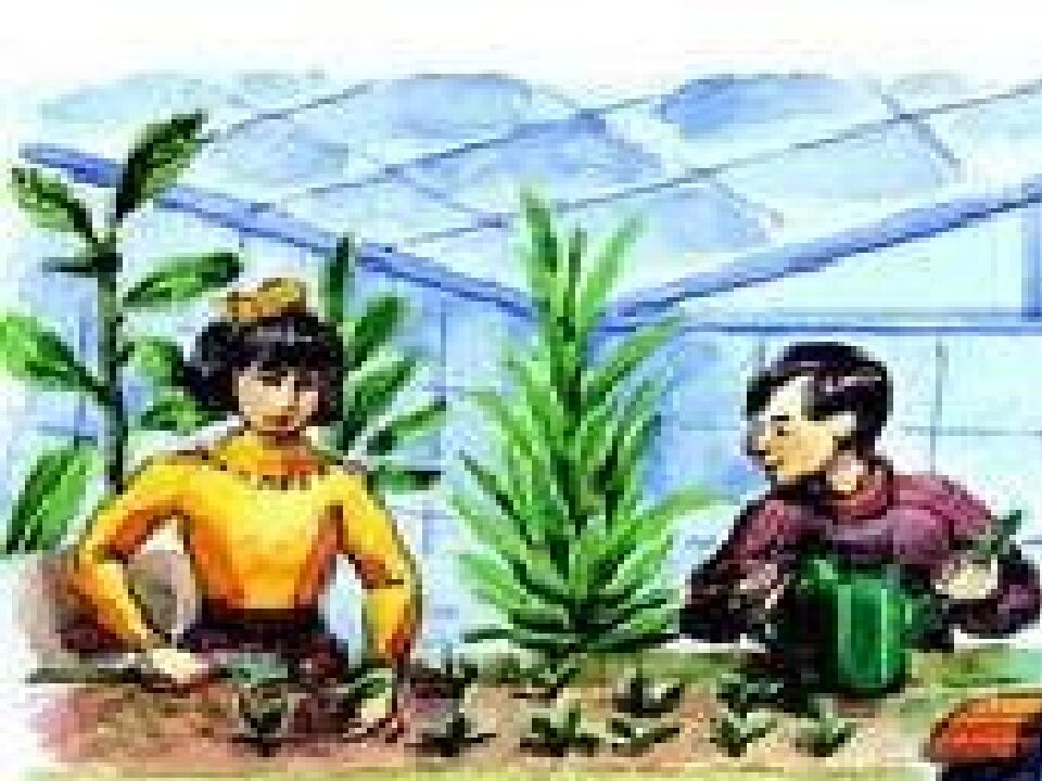 Еңбектің қадірін біл !», «Жұмысшы мамандықтар – еліміздің тірегі»