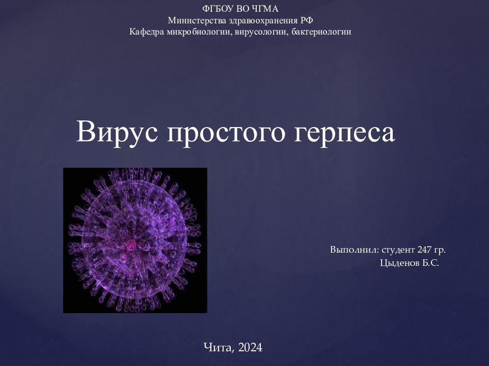 Вирус простого герпеса