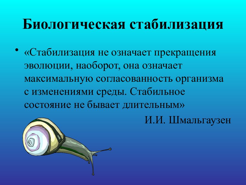 Биология развития презентация. Биологическая стабилизация. Стабилизация биология. Главные направления эволюции биологическая стабилизация. Биологическая стабилизация примеры.