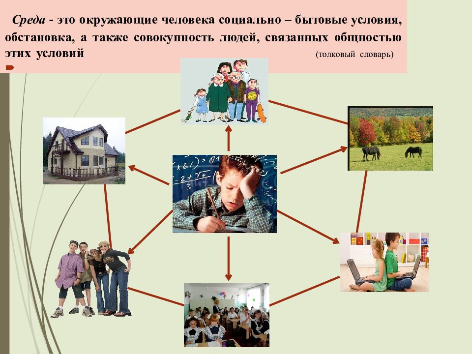 Что такое социальное окружение семьи опишите схему вашей семьи