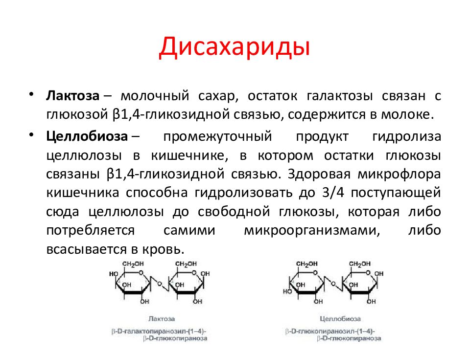 Полисахариды биохимия презентация