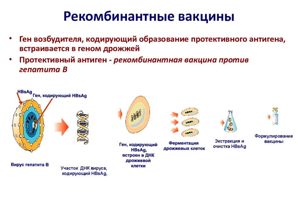 Рекомбинантты вакциналар презентация