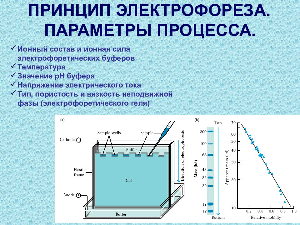 Правила электрофореза. Принцип работы электрофореза. Электрофорез метод. Электрофорез принцип действия. Схема действия электрофореза.