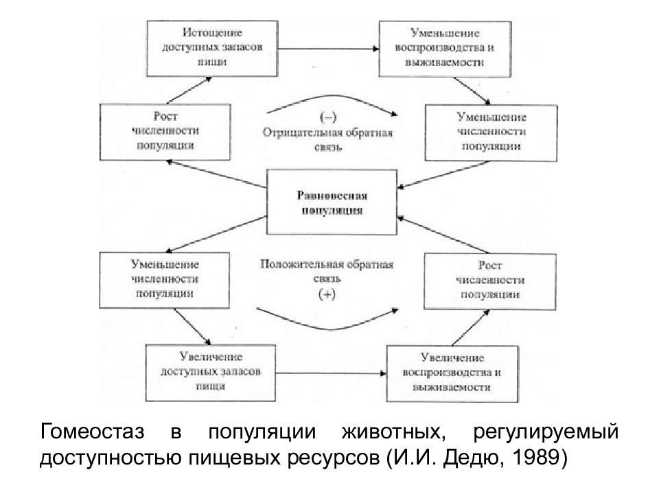 Экология популяций презентация