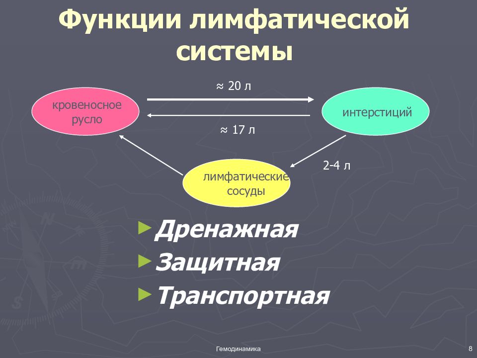 Функции лимфатической системы. Функции лимфы. Функции лимфоидной системы. Функции лимф системы. Функции лимфы физиология.