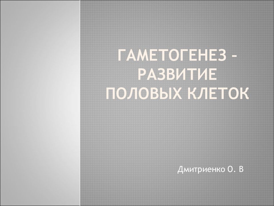 Гаметогенез – развитие половых клеток