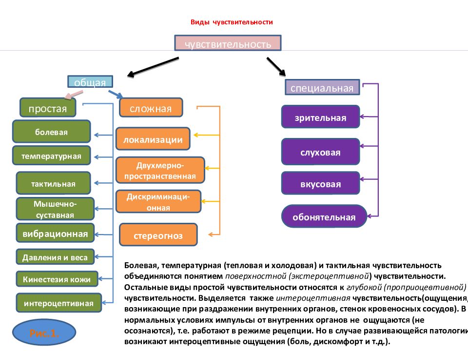 Схема нарушения чувствительности