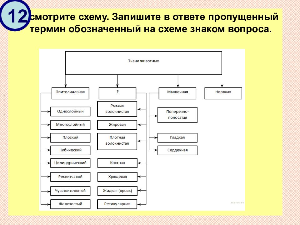 Представить функциональную схему технологической системы в операторной форме