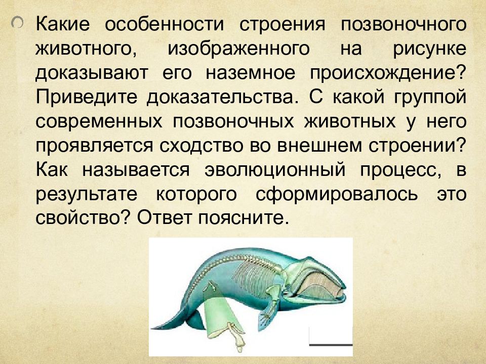 Какие особенности животных. Особенности строения позвоночных. Особенности строения позвоночных животных. Особенности строения позвоно. Особенности внешнего строения позвоночных животных.