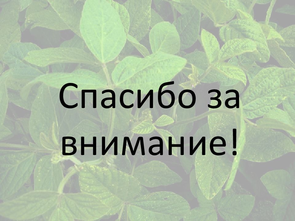 Продукты будущего презентация