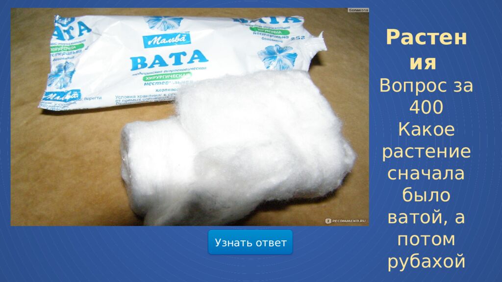 Мир весенней природы