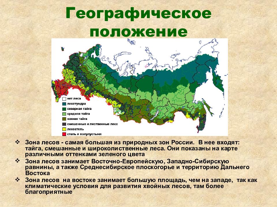 Карта хвойных лесов россии