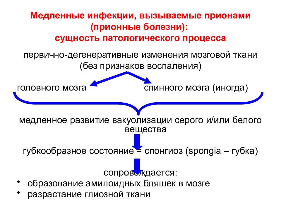 Прионные болезни презентация