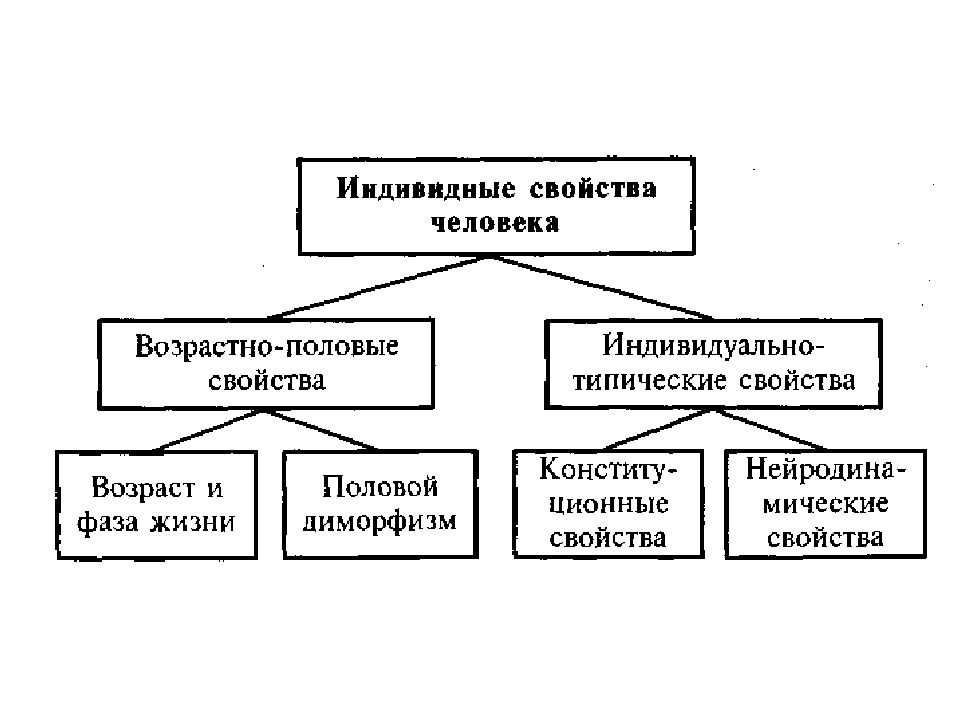 Система свойств человека. Индивидные свойства личности. Индивидные характеристики человека. Свойства человека. Структура индивидных свойств по б.г Ананьеву.