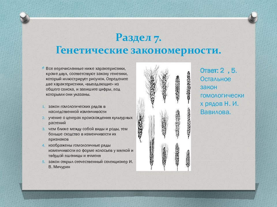 Опираясь на знания генетических закономерностей объясните могут. Наследственные признаки пшеницы. Генетические закономерности. Наследственные признаки дуба. Наследственные признаки овса.