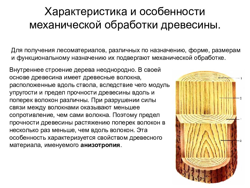 Рисунок на поверхности обработанной древесины