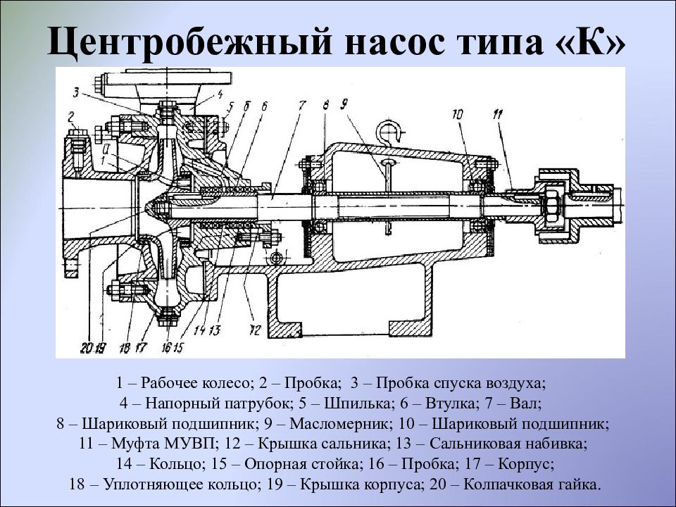 Центробежный насос схема и принцип работы