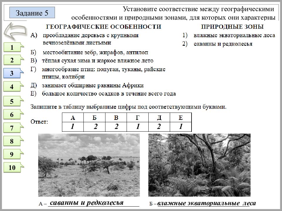 Установите соответствие между особенностями строения. Установите соответствие между географическими особенностями. Установите соответствие география. Саванны и редколесья и Тайга природные зоны. Установите соответствие между природными зонами.