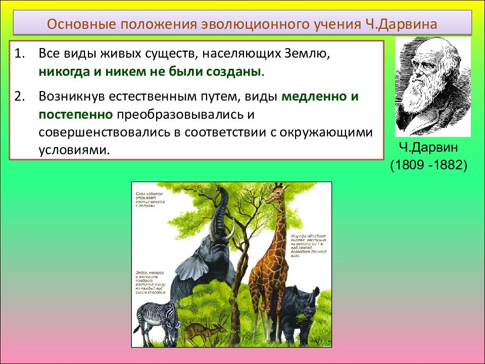 Современную эволюционную теорию можно представить в виде следующей схемы в условиях неограниченности