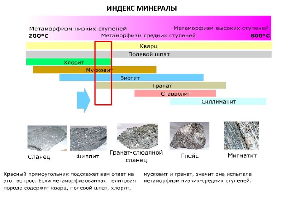 Метаморфические горные породы. Метаморфизм горных пород. Минералы метаморфических пород. Ступени регионального метаморфизма.