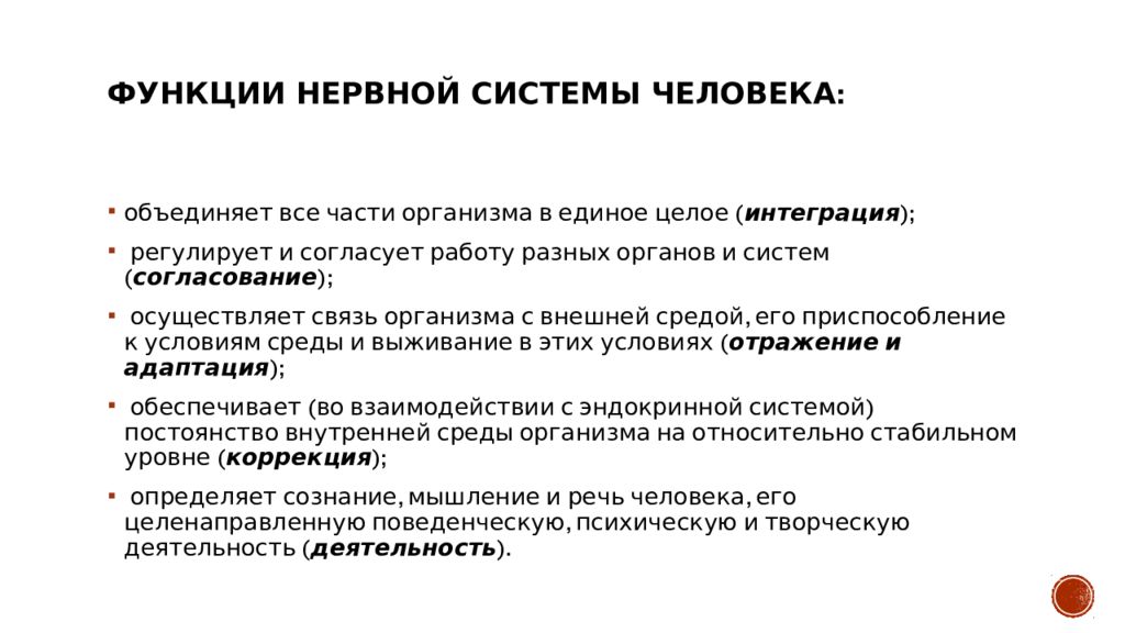 Функции нервов. Функции нервной системы чел. Основные функции нервной системы. Функции нервной системы человека кратко. Перечислите функции нервной системы.