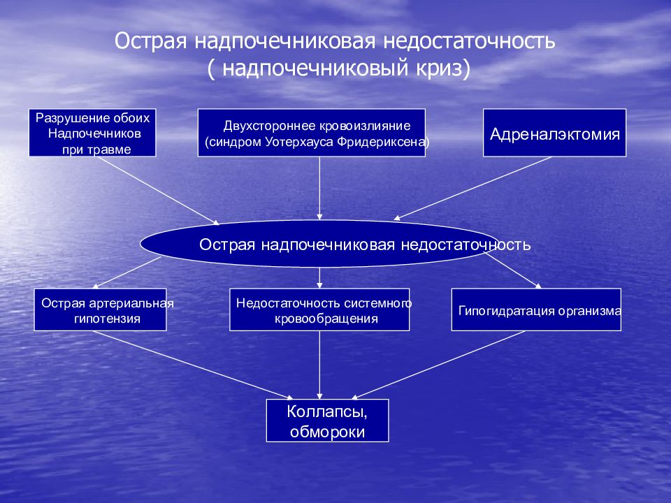 Патофизиология эндокринной системы презентация