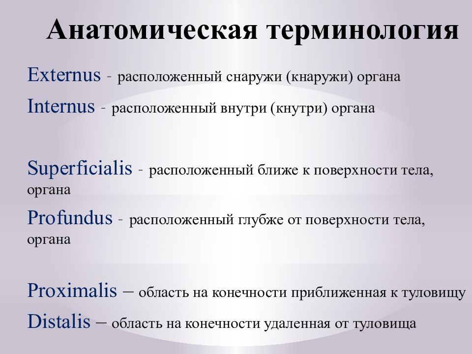 Презентация история развития анатомии