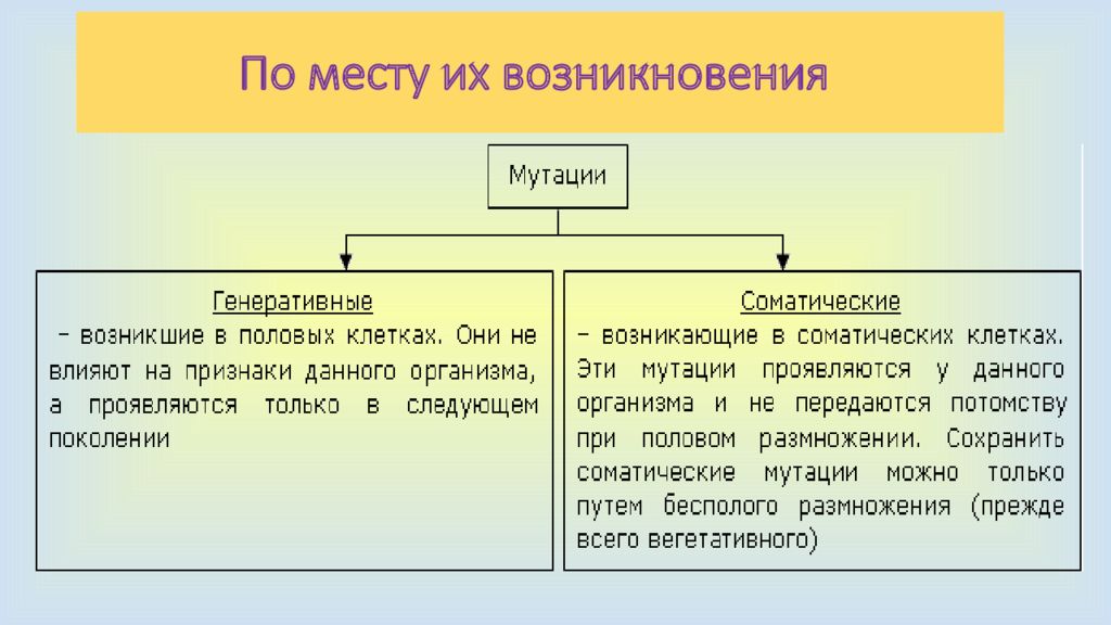 Генеративные мутации. Генеративные мутации влияние на организм. Место возникновения мутаций.