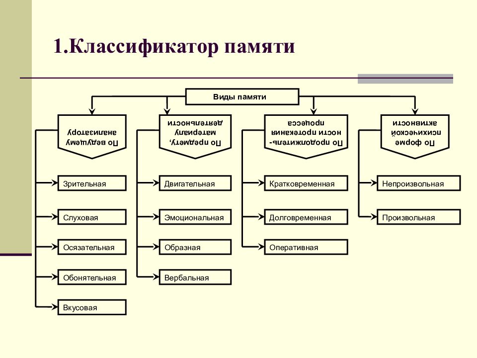 1 1 классификация и виды. Классификация видов памяти по ведущему анализатору. Классификация основных видов памяти таблица. Классификация видов памяти в психологии. Классификация видов памяти схема.