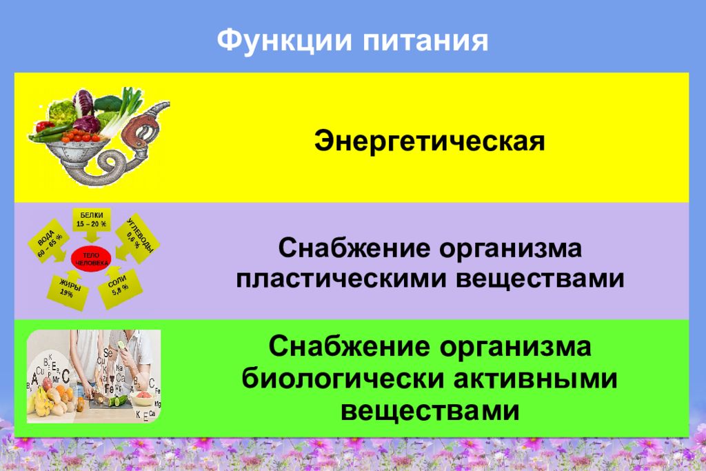 Функции пищи. Функции питания. Основные функции питания. Основные жизненные функции питания.. Основные функции пищи.