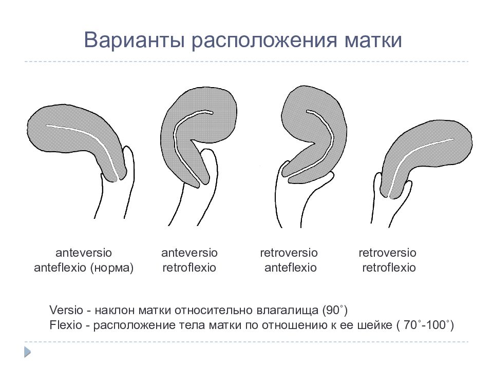 В плане кс гинекология