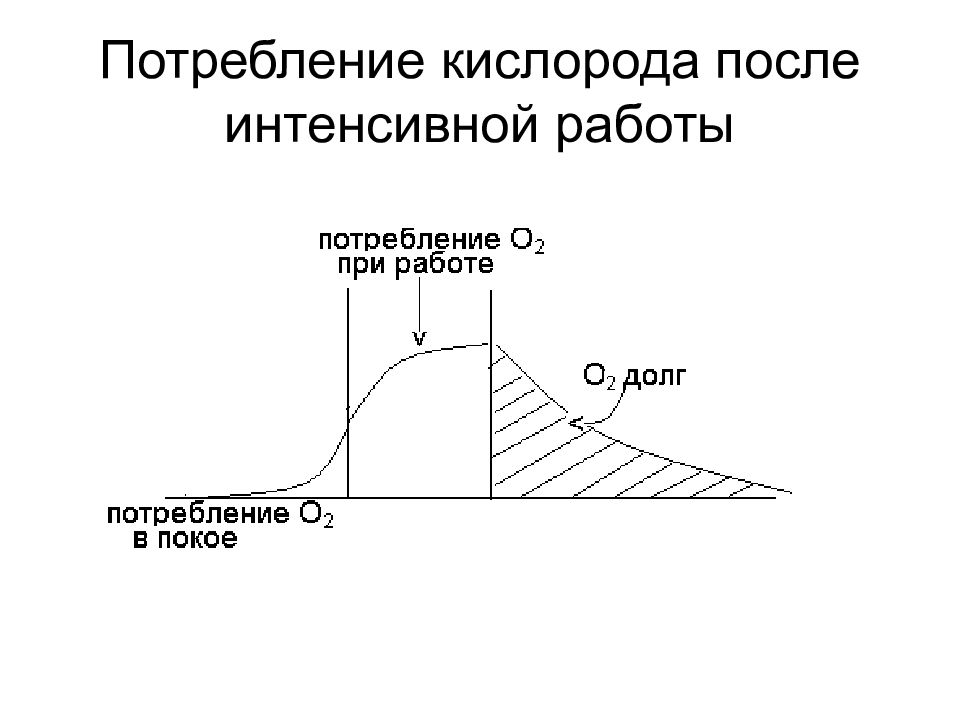 Потребление кислорода. Потребление кислорода при мышечной деятельности. Потребление кислорода при физической нагрузке. Динамика потребления кислорода при физической работе. Потребление кислорода при работе.