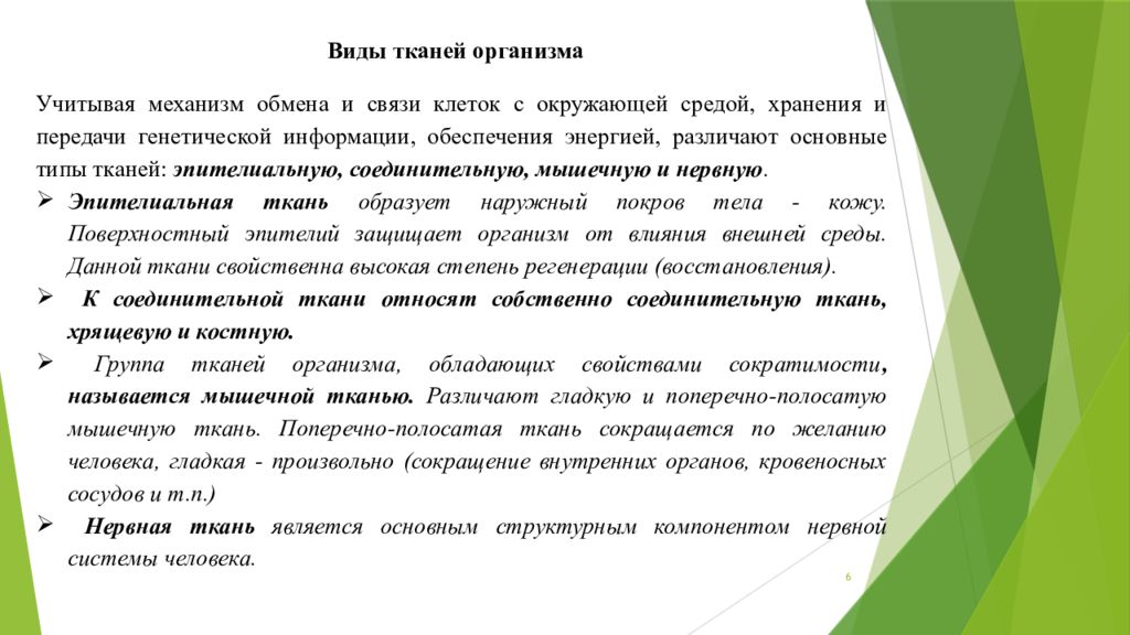 Докажите что строение и функции тканей взаимосвязаны