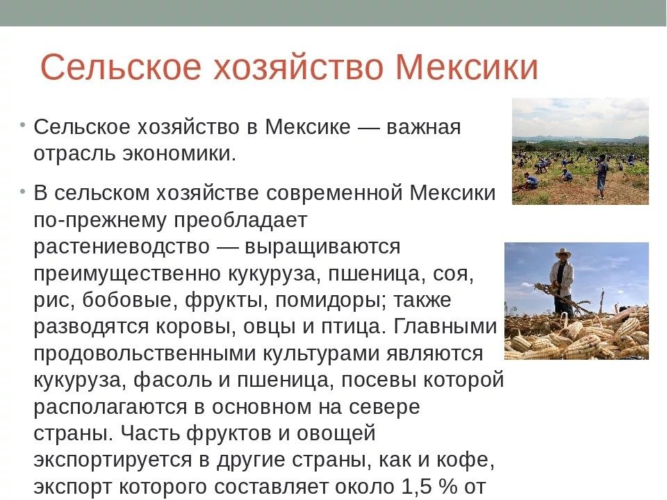 Сельское хозяйство мексики карта