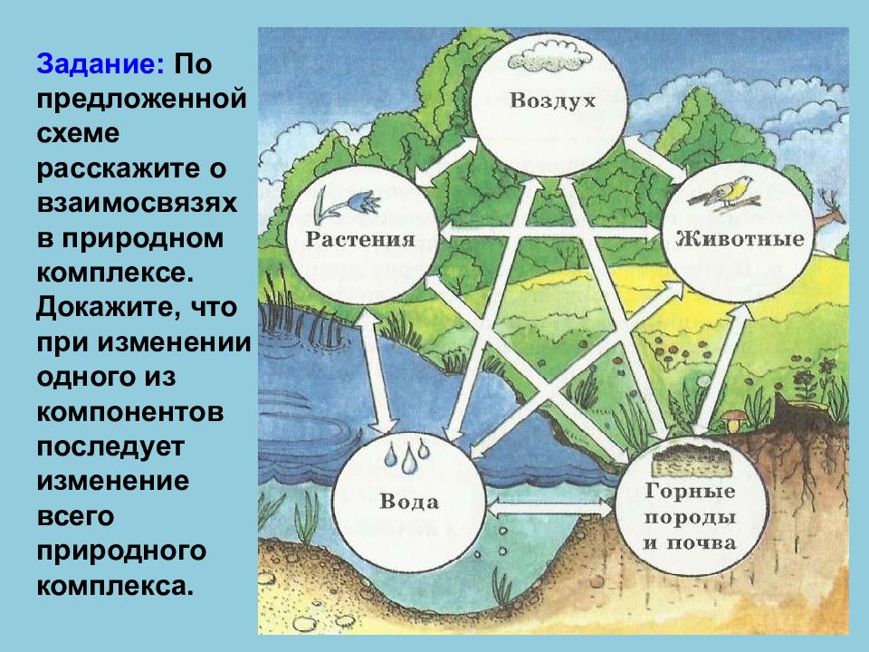 Компоненты биосферы схема