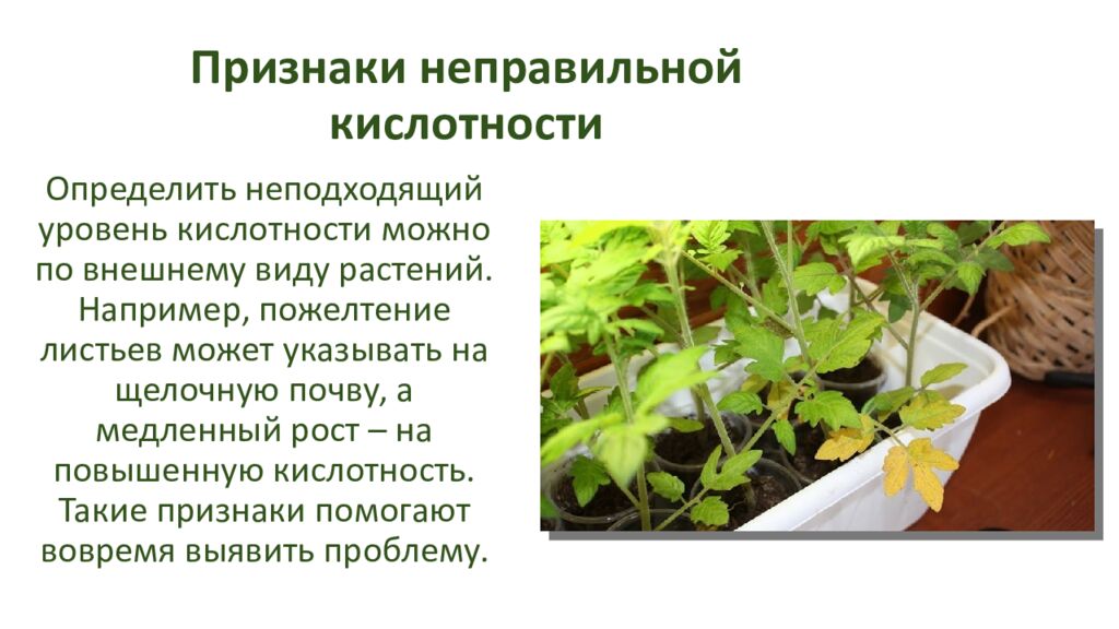Признаки неправильной кислотности