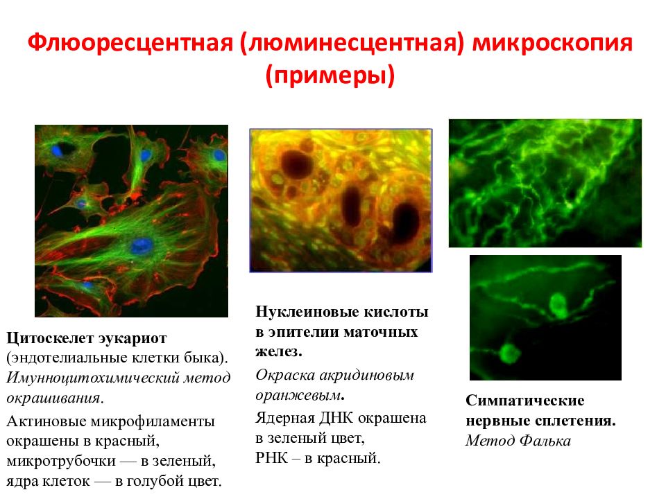 Перечислить методы микроскопии