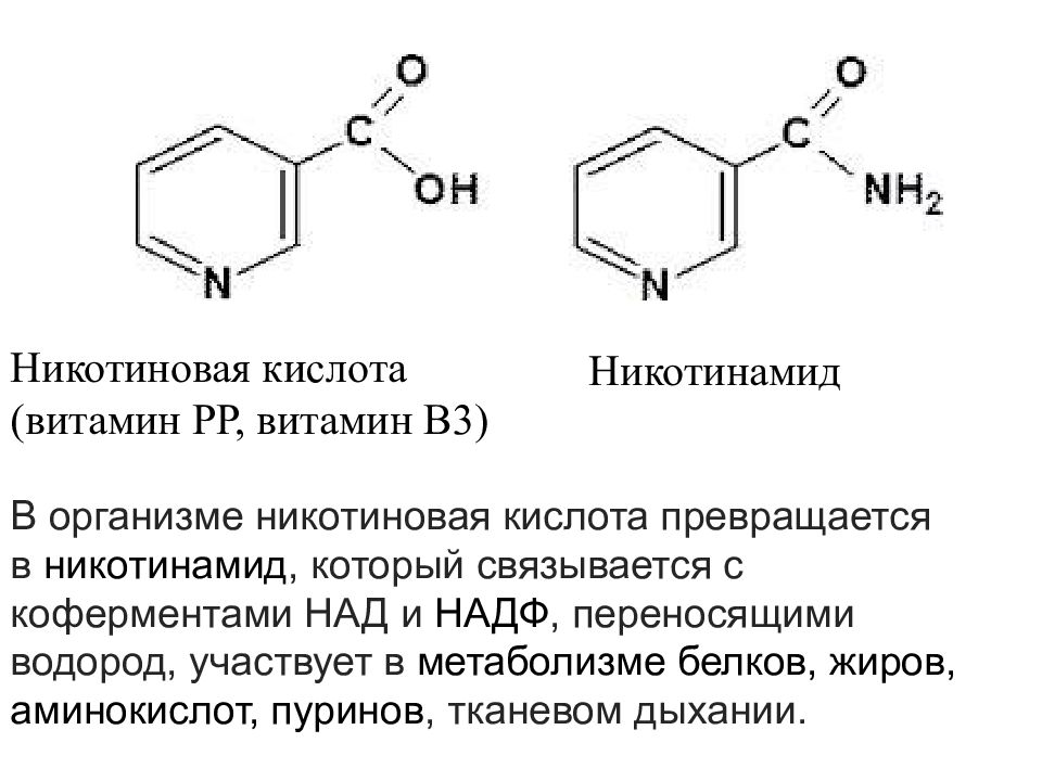 Никотиновая кислота можно