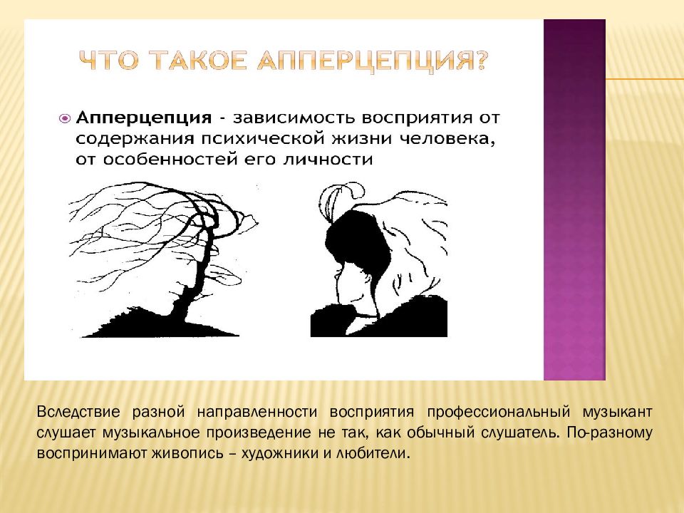 Зависимость восприятия от направленности личности. Доминанта Высшая нервная деятельность. Свойства восприятия обобщенность. Пример осмысленности восприятия в психологии. Апперцепция.