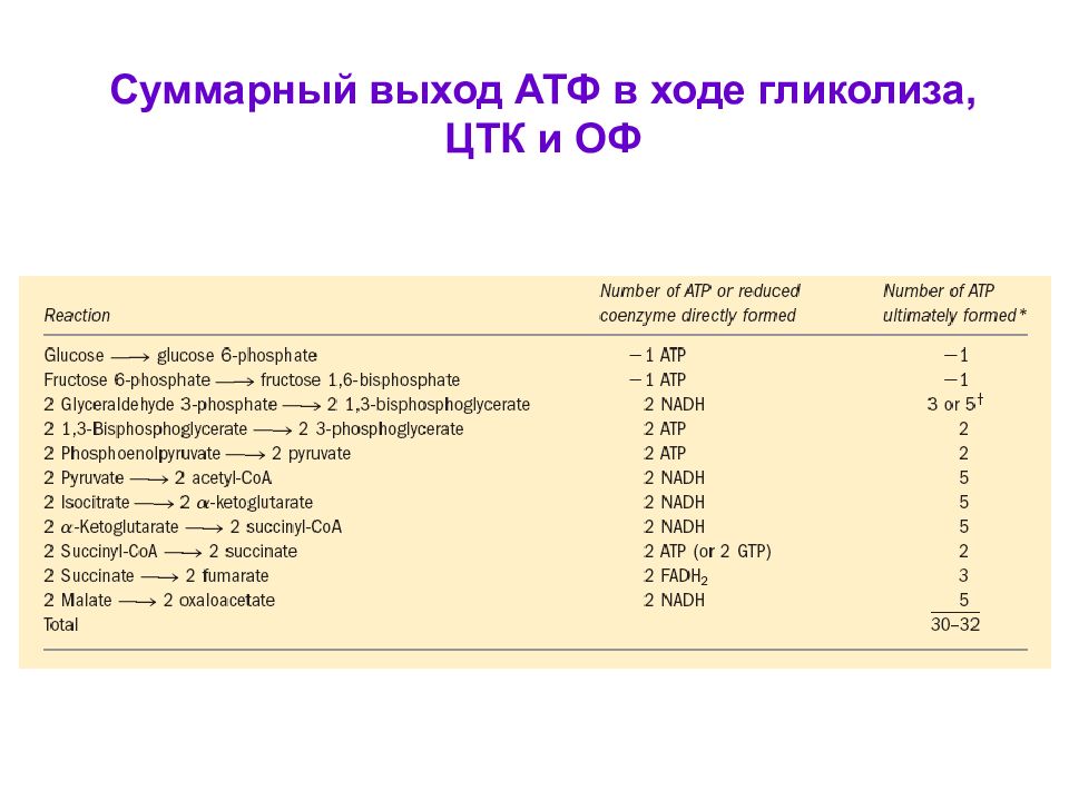 C d t h t. Выход АТФ при анаэробном гликолизе. Суммарный выход АТФ. Анаэробный гликолиз количество АТФ. Суммарный выход гликолиза.