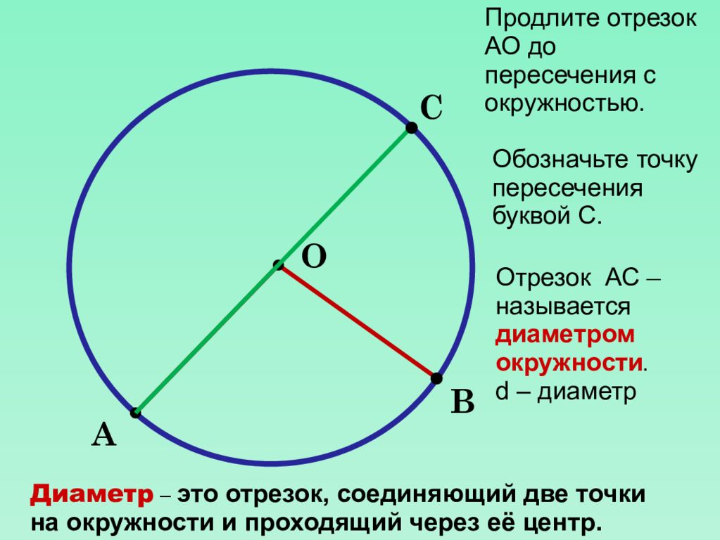 Чему равна любая окружность. Окружность. Диаметр окружности. Отрезок окружности. Отрезок в круге.