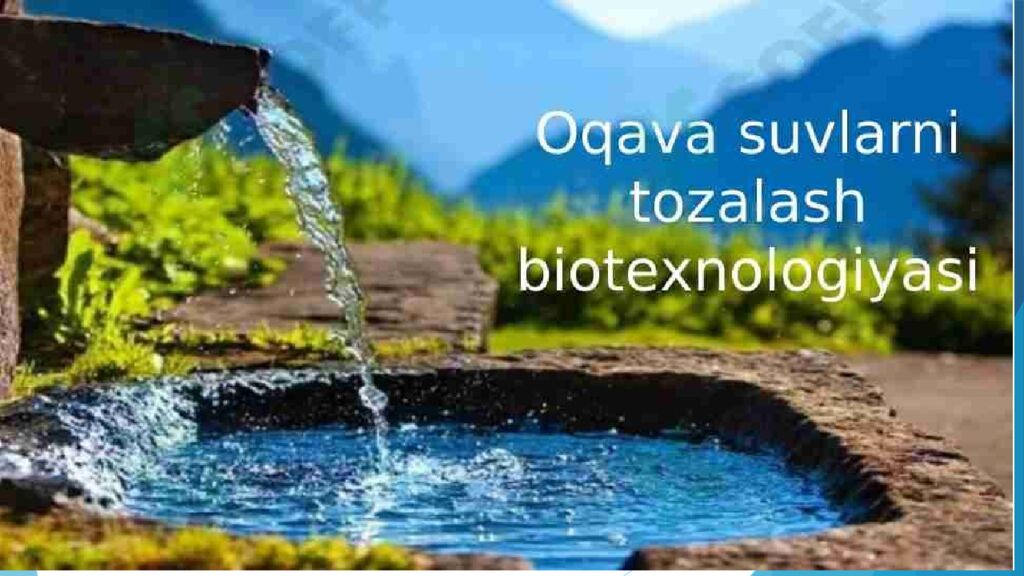 Mavzu: Suv havzalariga ifloslovchi modda oqizishdan keladigan ziyonni hisoblash