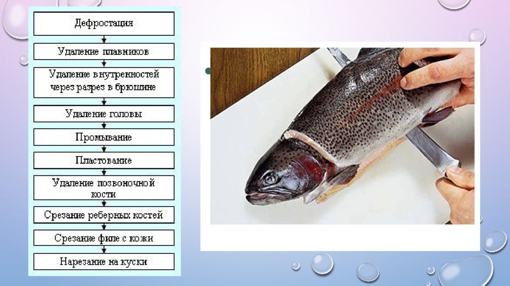 Дополните схему классификации рыб