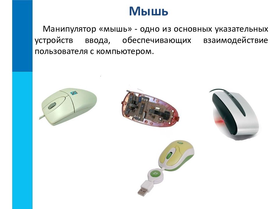 Выведи мышку. Разновидности компьютерных мышей. Манипулятор мышь это в информатике. Типы компьютерных мышей. Компьютерная мышь это в информатике.