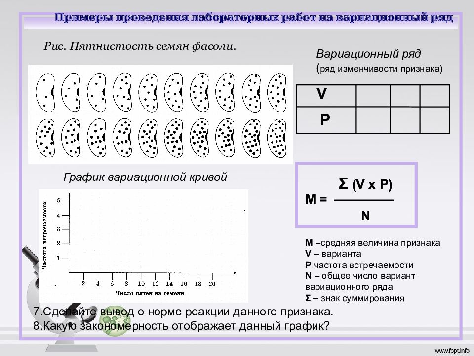 Лабораторная вариационная кривая. Вариационный ряд семян фасоли. Модификационная изменчивость построение вариационной Кривой фасоль. Лабораторная работа построение вариационного ряда. Лабораторная работа построение вариационной Кривой.