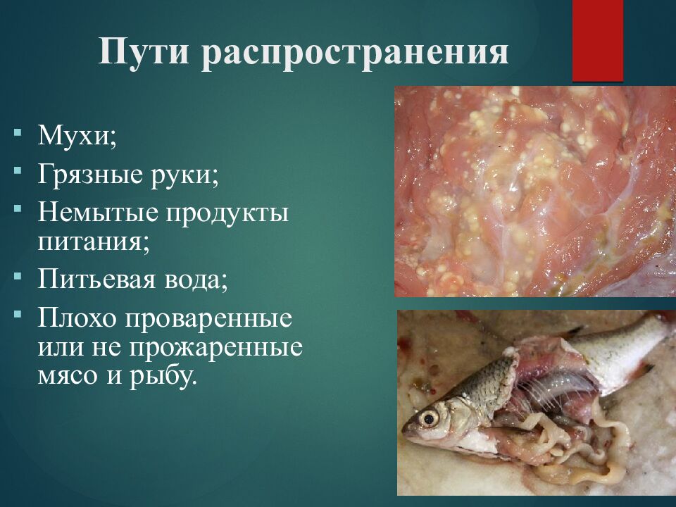 Пути распространения