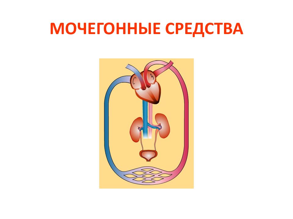 Презентация мочегонные средства